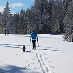 Almfrieden Hotel&romantikchalet 4* Ramsau am Dachstein