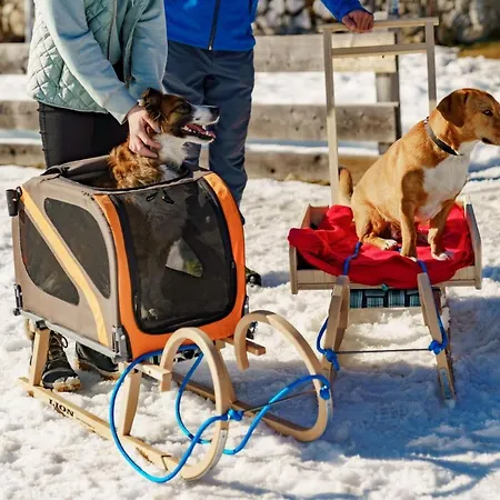 Almfrieden & Romantikchalet Hotel