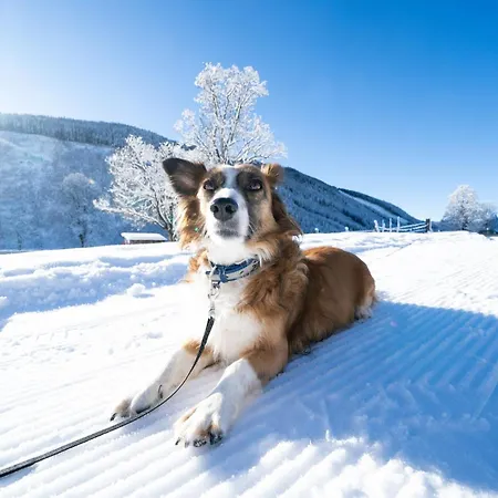 Hotel Almfrieden & Romantikchalet Ramsau am Dachstein