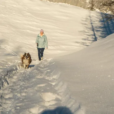 Almfrieden & Romantikchalet 4*