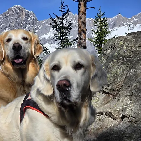 Almfrieden & Romantikchalet 4* Ramsau am Dachstein