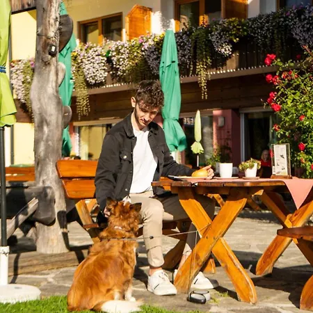 Almfrieden & Romantikchalet Hotel Ramsau am Dachstein