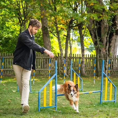 Hotel Almfrieden & Romantikchalet Ramsau am Dachstein