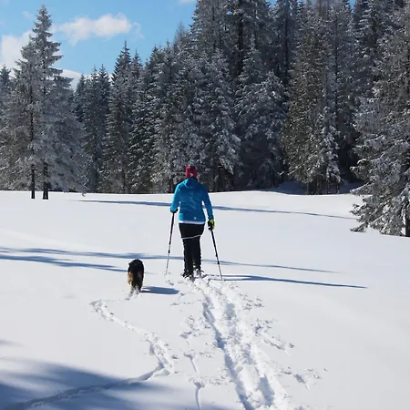 Almfrieden & Romantikchalet 4* Ramsau am Dachstein