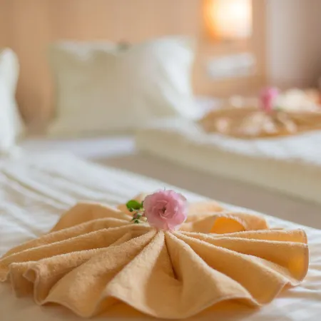 Hotel Almfrieden & Romantikchalet 4*