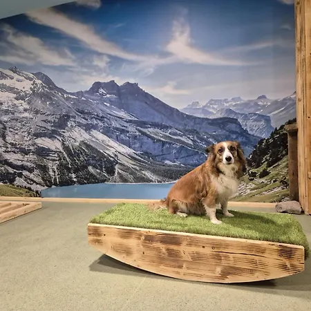 Almfrieden & Romantikchalet 4* Ramsau am Dachstein