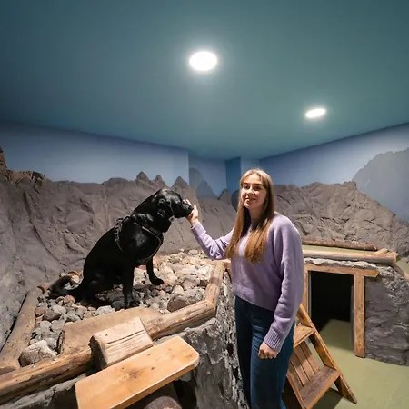 Hotel Almfrieden & Romantikchalet Ramsau am Dachstein