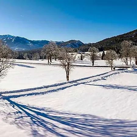 Almfrieden & Romantikchalet Hotel 4*