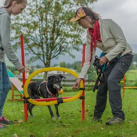 Almfrieden & Romantikchalet Hotel Ramsau am Dachstein
