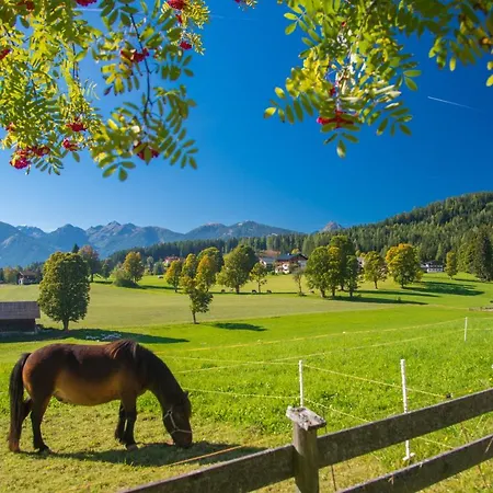 Almfrieden & Romantikchalet Hotel