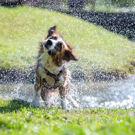 Almfrieden & Romantikchalet