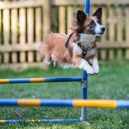 Almfrieden & Romantikchalet Hotel Ramsau am Dachstein