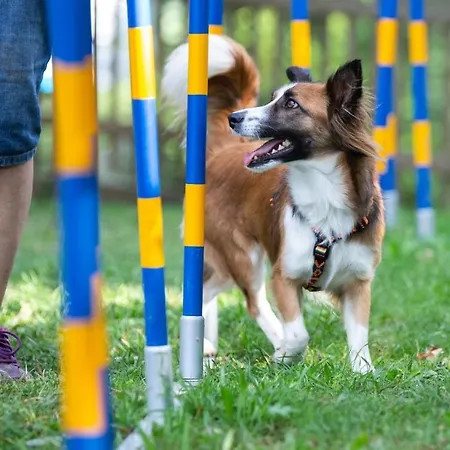 Hotel Almfrieden & Romantikchalet 4*