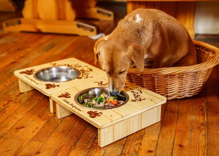 Hotel Almfrieden & Romantikchalet 4*