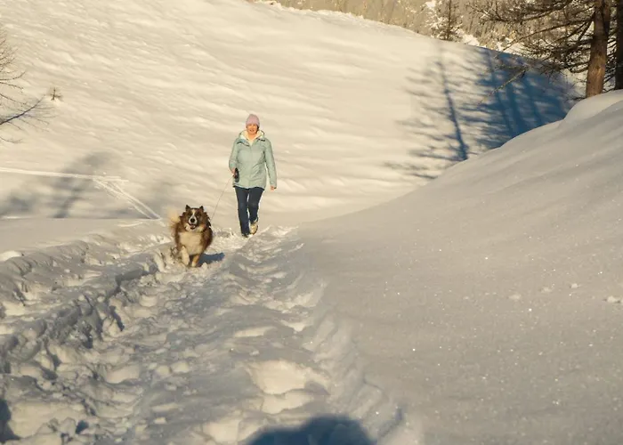 Almfrieden & Romantikchalet 4*