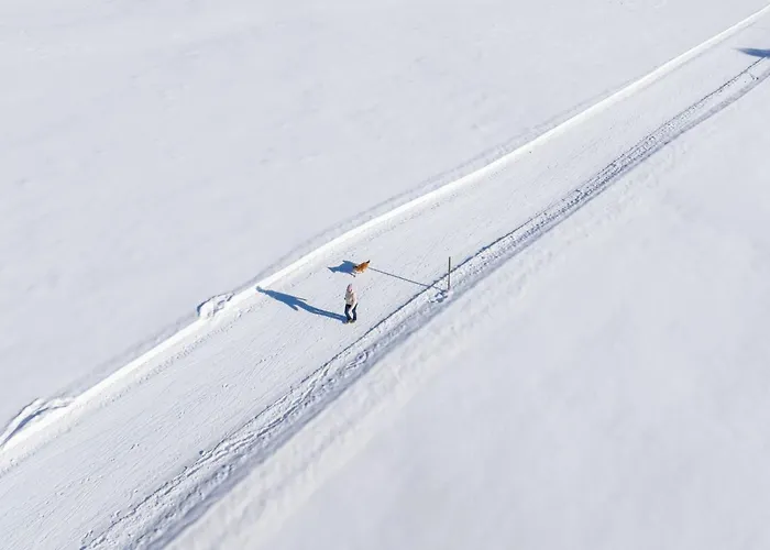 Hotel Almfrieden & Romantikchalet