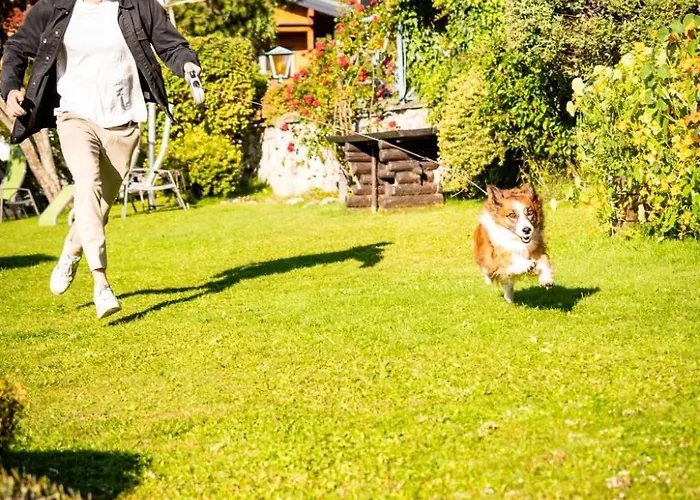 Hotel Almfrieden & Romantikchalet 4*