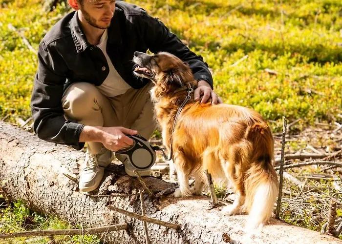 Almfrieden & Romantikchalet 4* Ramsau am Dachstein