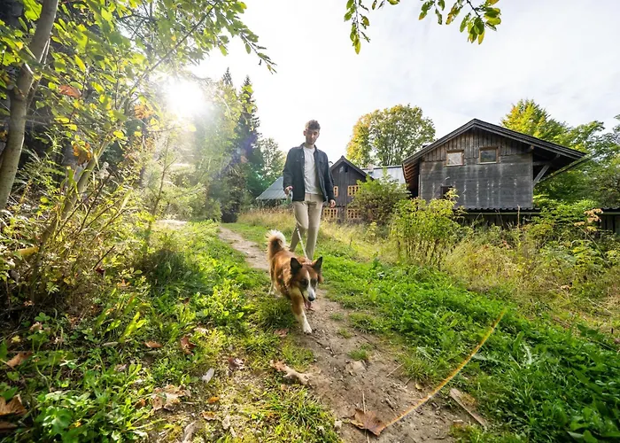 Almfrieden & Romantikchalet Ramsau am Dachstein
