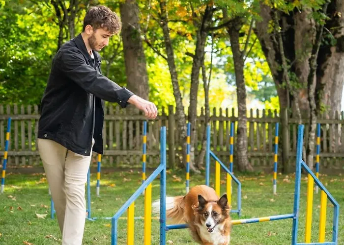 Hotel Almfrieden & Romantikchalet Ramsau am Dachstein