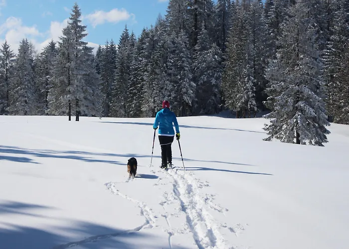 Almfrieden & Romantikchalet 4* Ramsau am Dachstein