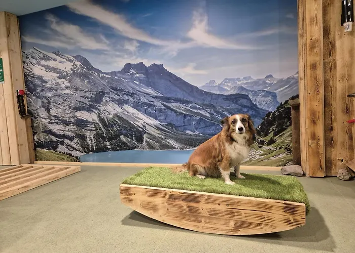 Almfrieden & Romantikchalet 4* Ramsau am Dachstein