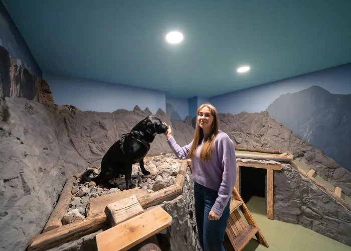 Otel Almfrieden & Romantikchalet Ramsau am Dachstein