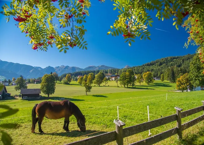 Almfrieden & Romantikchalet Hotel