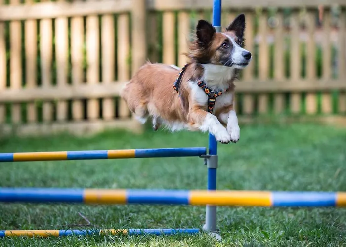 Almfrieden & Romantikchalet Hotel Ramsau am Dachstein