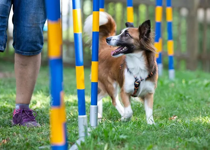 Hotel Almfrieden & Romantikchalet 4*