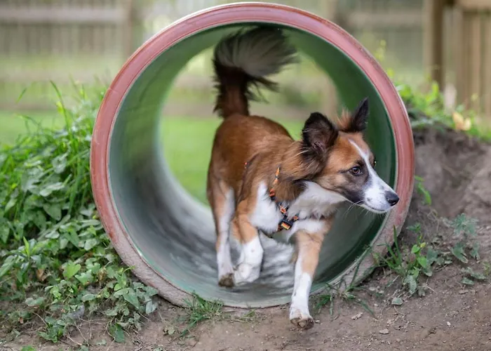 Almfrieden & Romantikchalet 4*