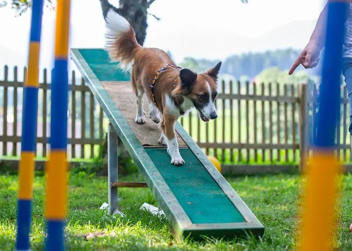 Almfrieden & Romantikchalet Hotel Ramsau am Dachstein